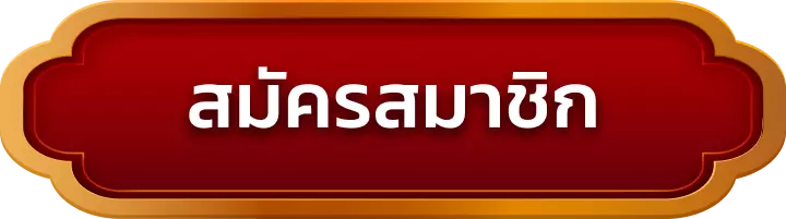 สมัครสมาชิก maxspinx